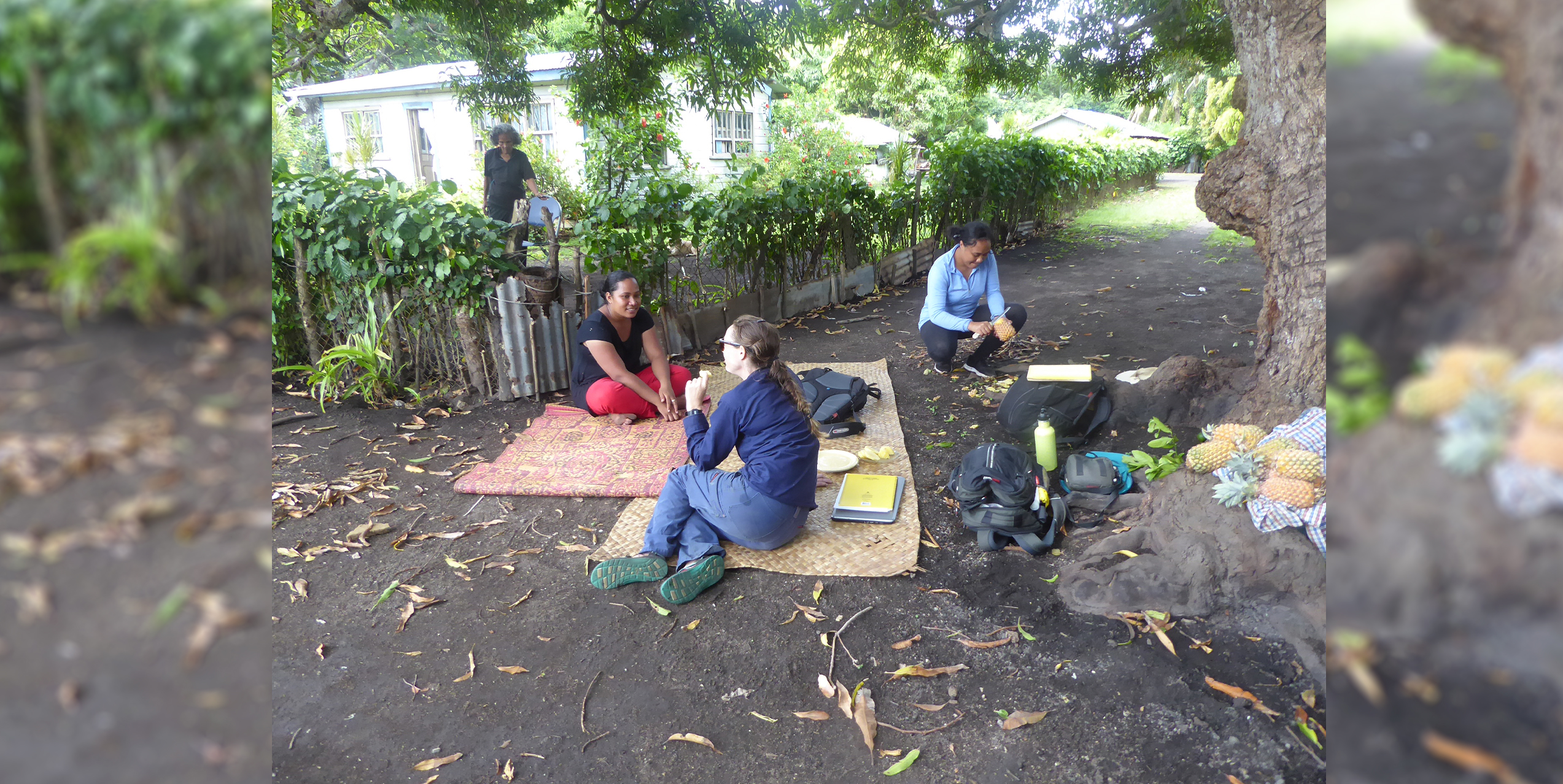 Climate Resilience Sector Project, Tonga